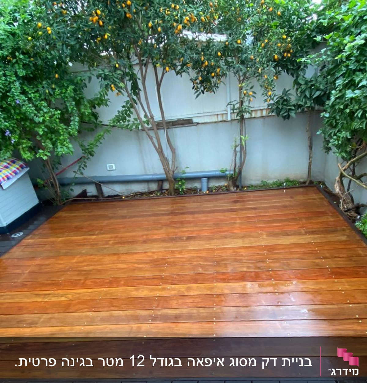 דק עץ בגינה עם עצים ושיחים מסביב